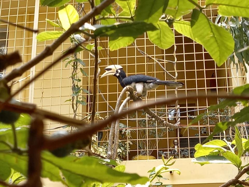 Devi Music Ashram Bed & Breakfast ริชิเคช ภายนอก รูปภาพ